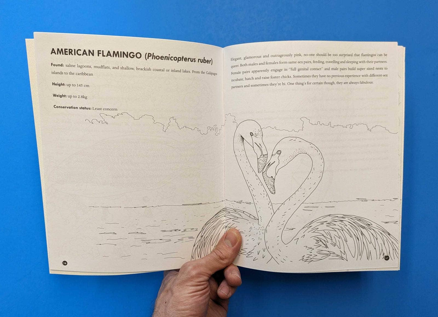 Queer Animals Coloring Book