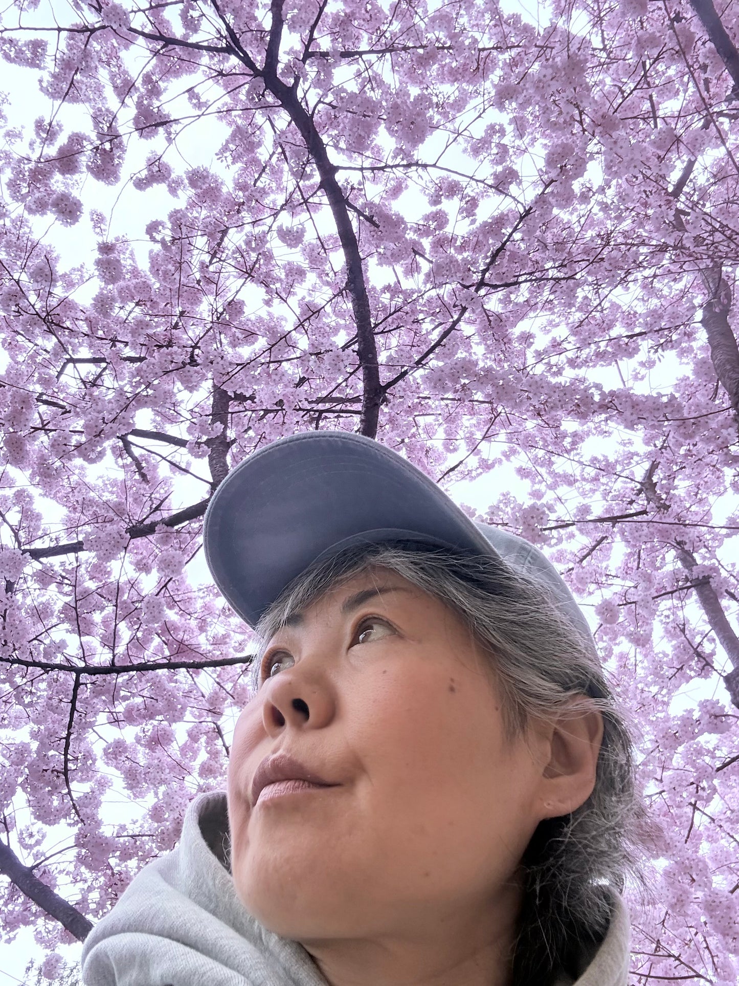 SUNDAYS - Mama/Baby Yoga (8:30-9:30am)