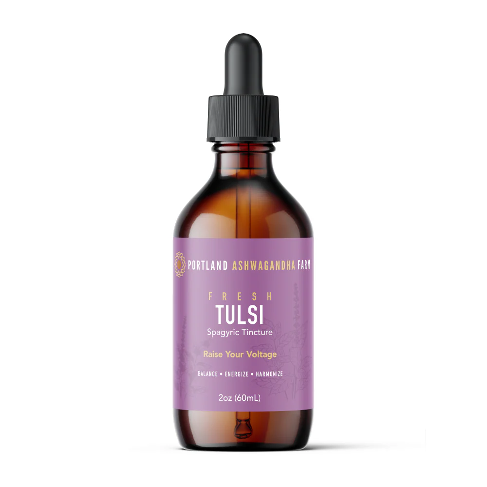 Tulsi Tincture