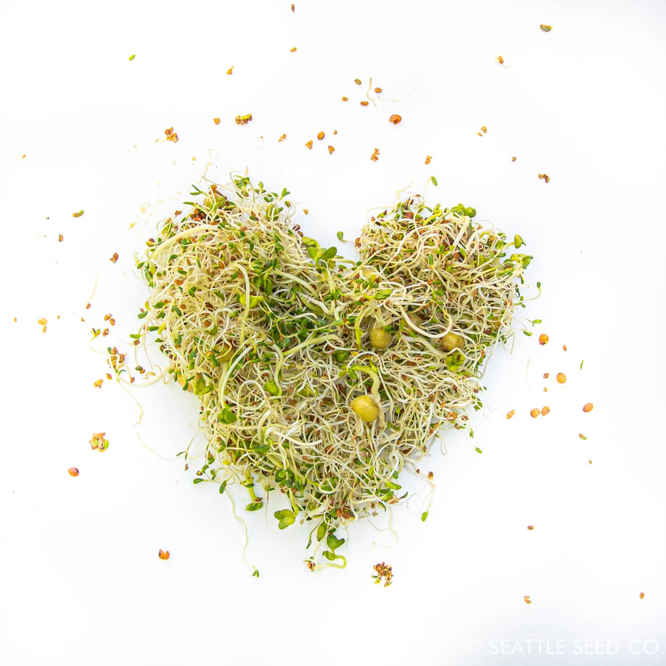 Sprouting Starter Kit