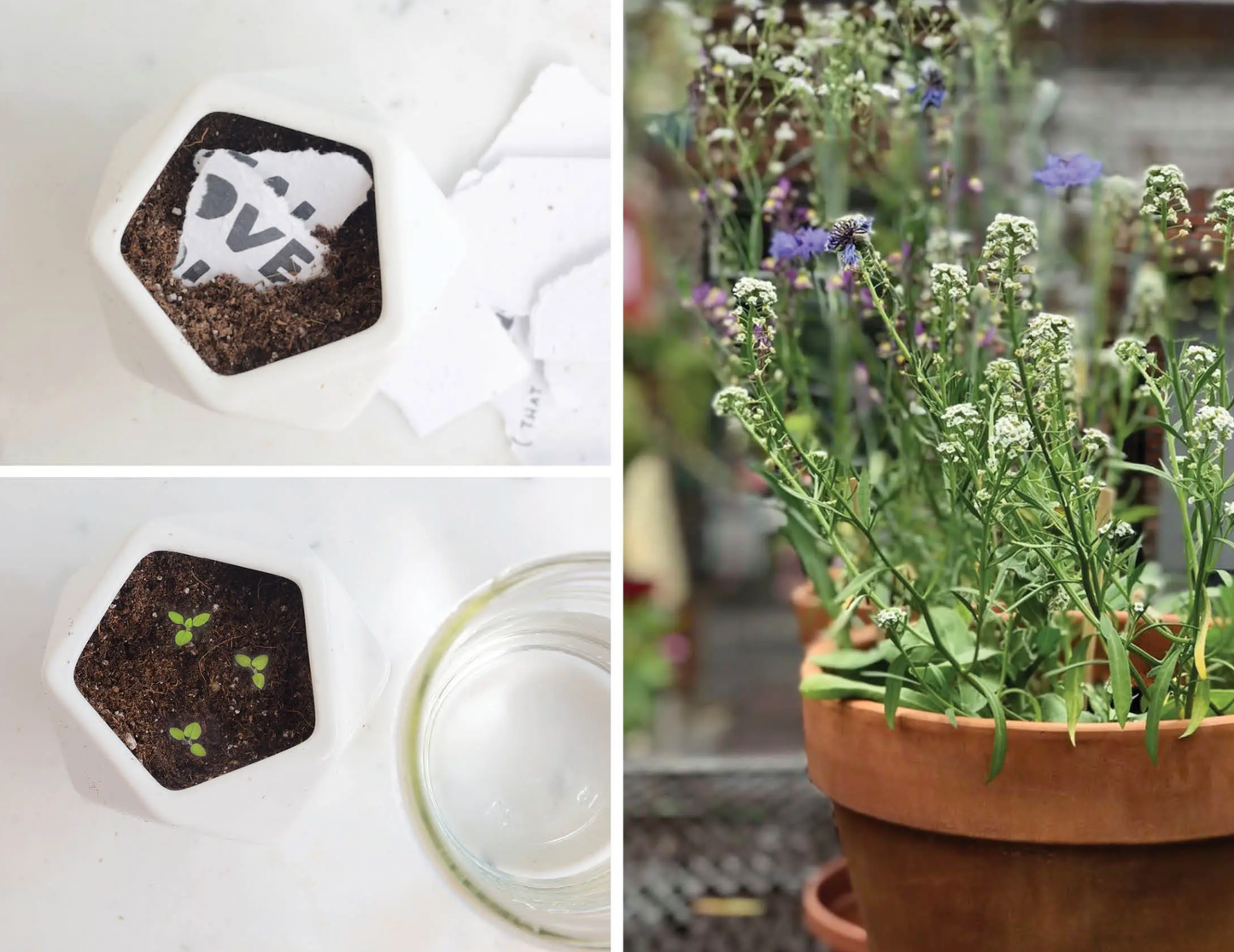 One Day At A Time Plantable Card