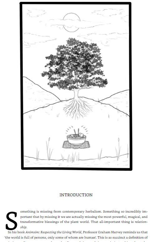 Spiritual Herbalism: The Magic and Medicine of the Plants