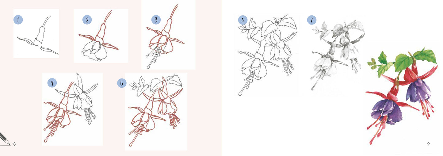 Draw 30: Flowers