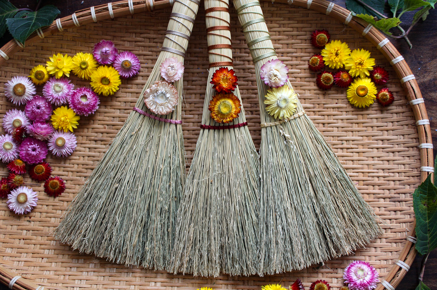 Strawflower Brooms