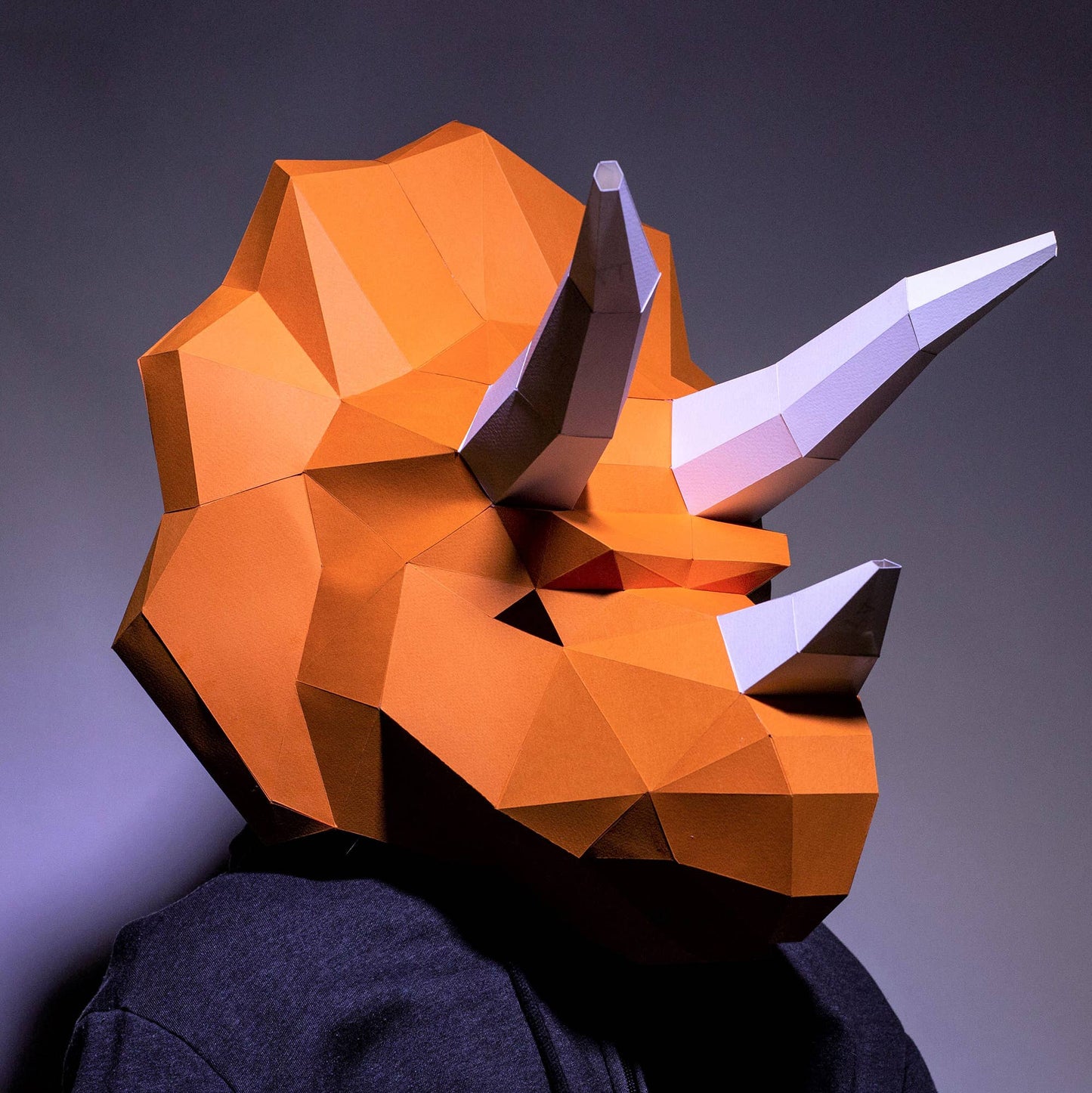 Origami Masks