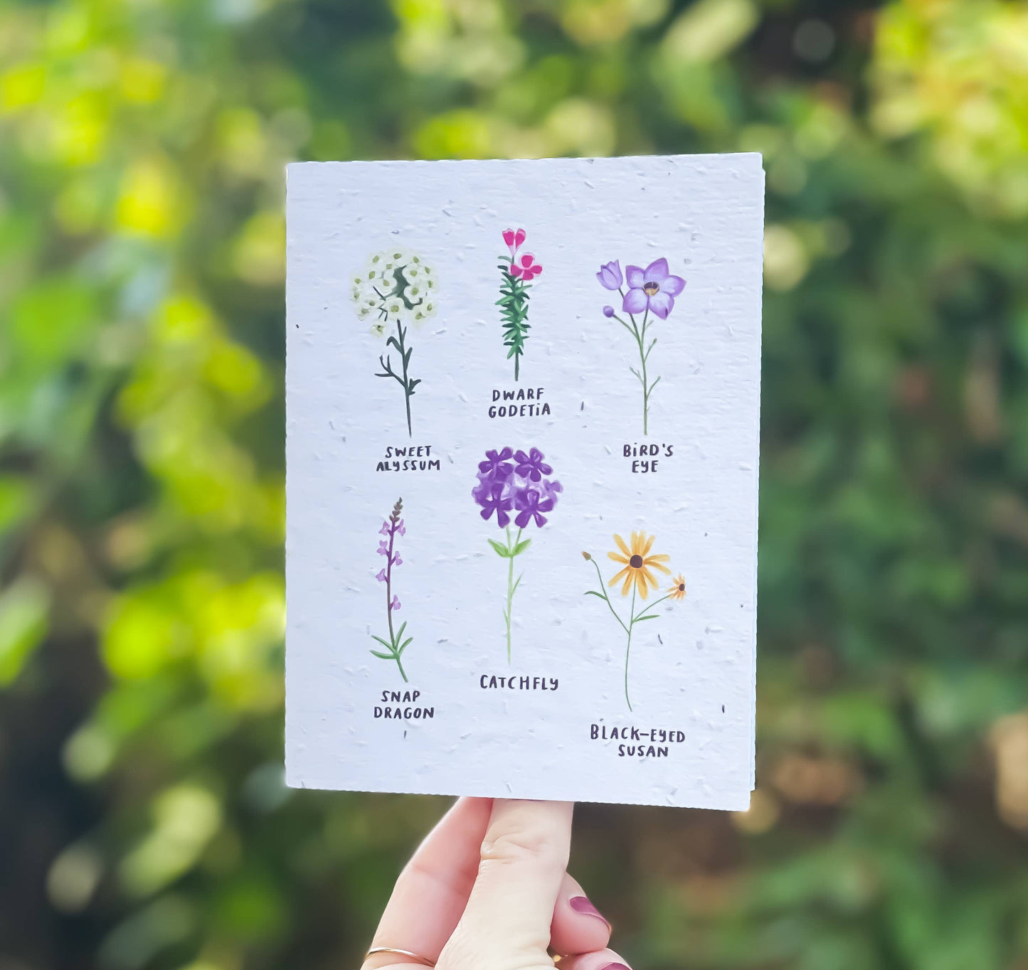 Wildflowers Seed Card