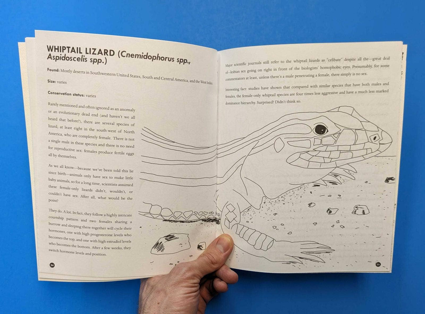 Queer Animals Coloring Book