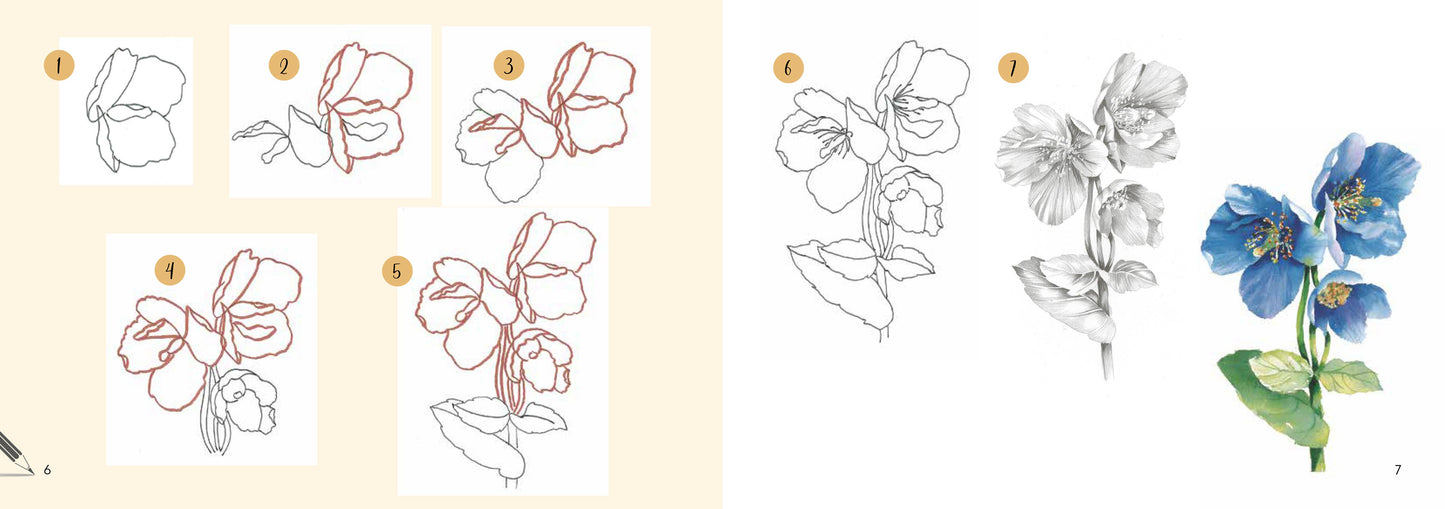 Draw 30: Flowers