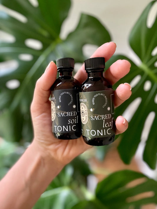Soil + Leaf Tonic Bundle