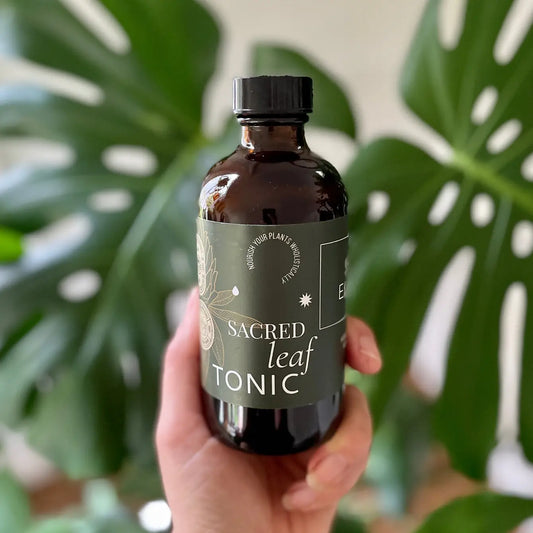 Leaf Tonic