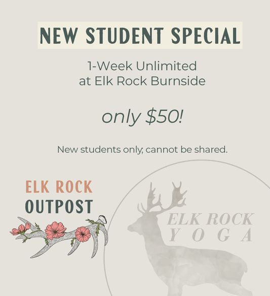 New Student Special