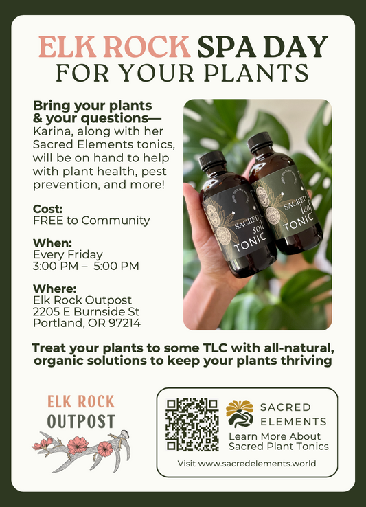 Community Plant Spa Day Fridays