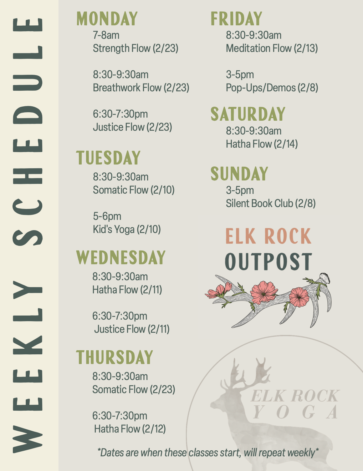 Yoga Packages + Rates