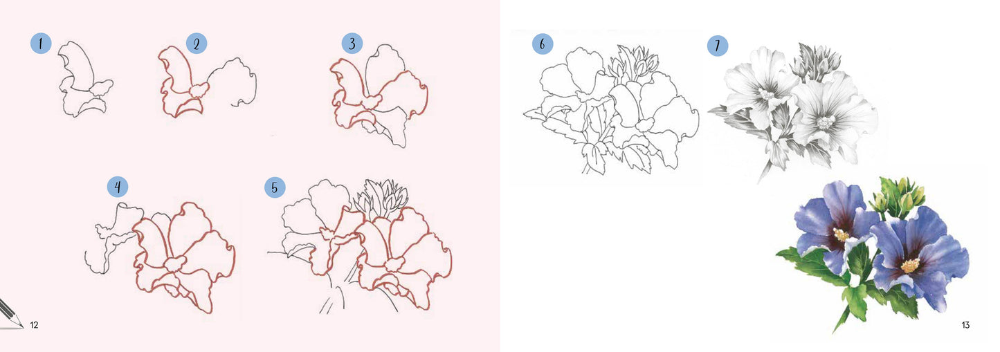 Draw 30: Flowers