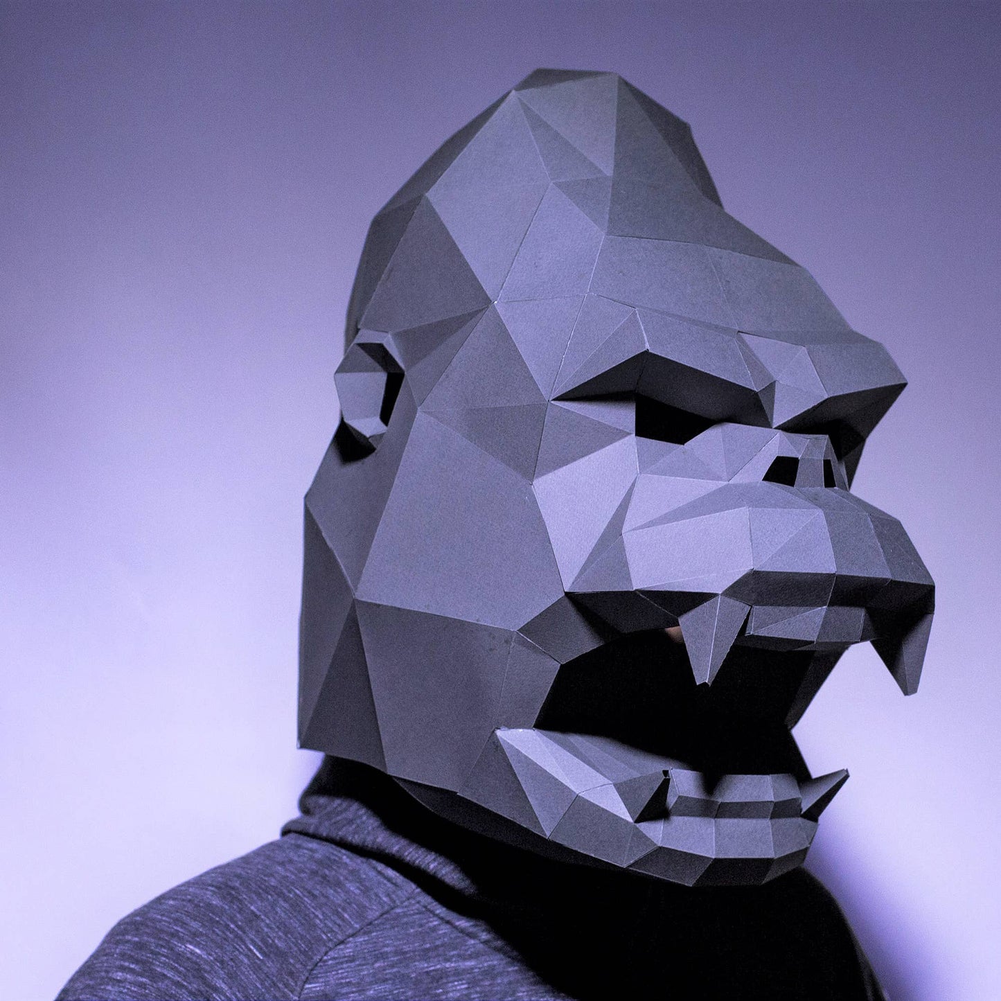 Origami Masks