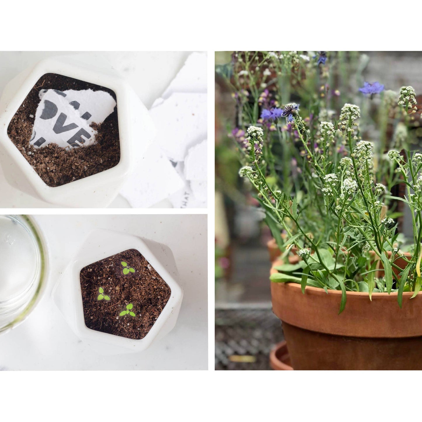 Things That Matter Plantable Card