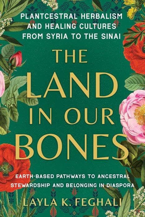 Land In Our Bones